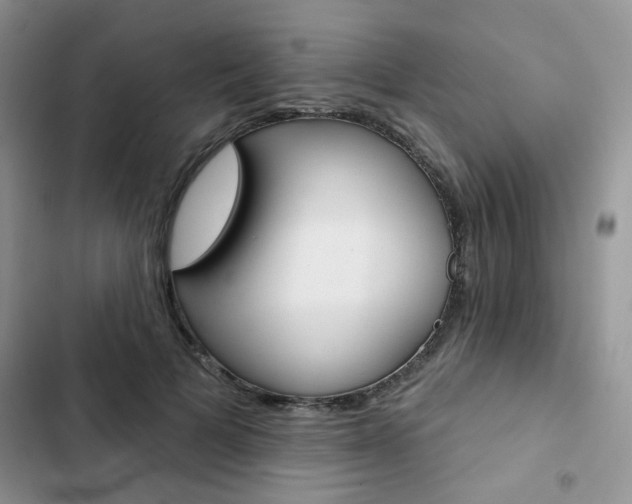 X0000102830697200808181049