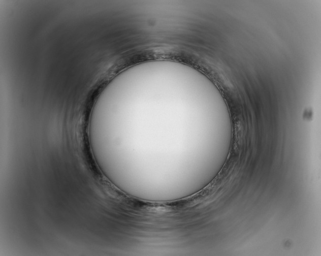 X0000102830698200808181049