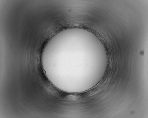 X0000102830699200808181049