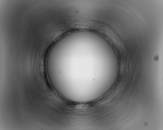 X0000102830700200808181049