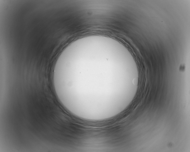 X0000102830701200808181049