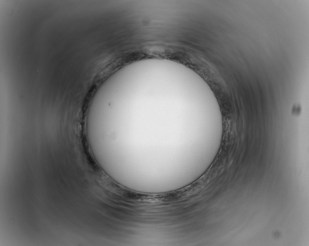 X0000102830702200808181049