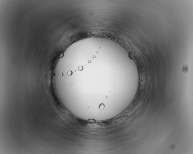X0000102830703200808181049