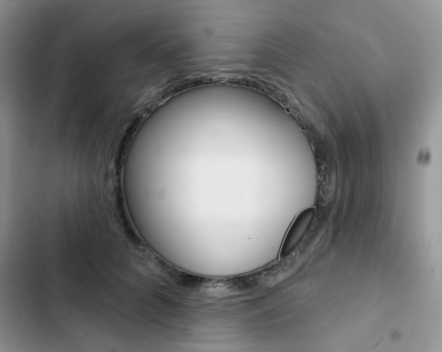 X0000102830704200808181049