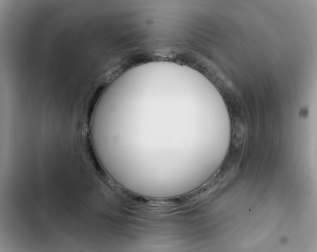 X0000102830707200808181049