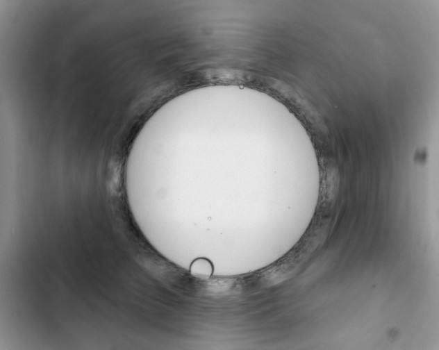 X0000102830709200808181049
