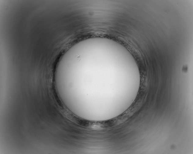 X0000102830710200808181049