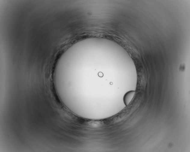 X0000102830711200808181049