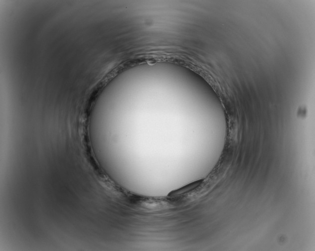 X0000102830712200808181049