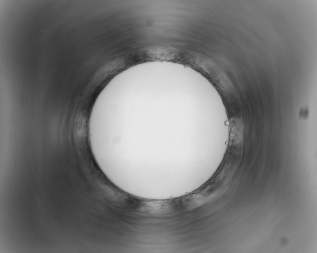 X0000102830713200808181049