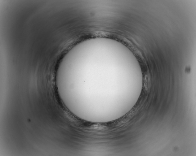 X0000102830714200808181049