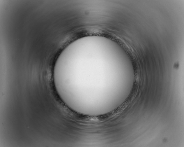 X0000102830715200808181049