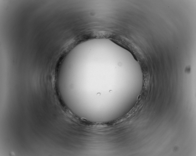 X0000102830716200808181049