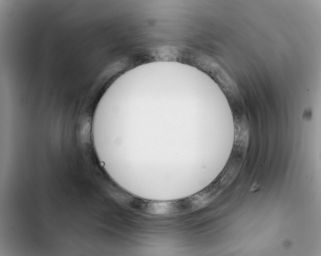 X0000102830717200808181049