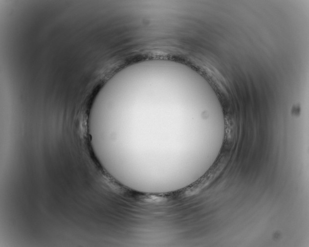 X0000102830718200808181049