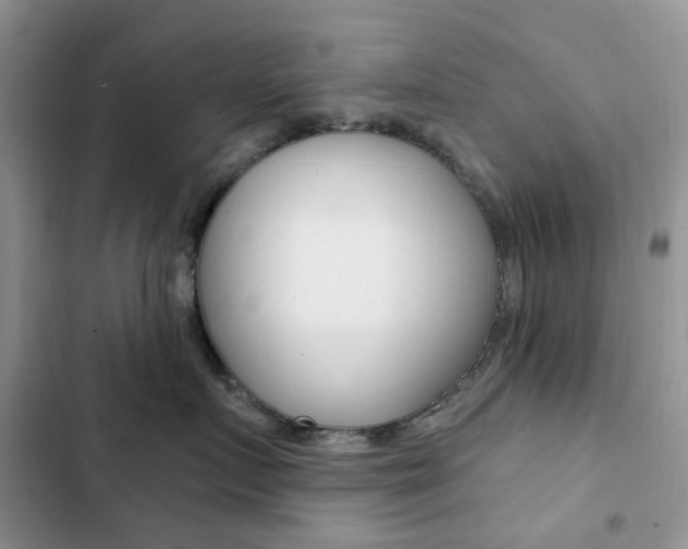 X0000102830719200808181049