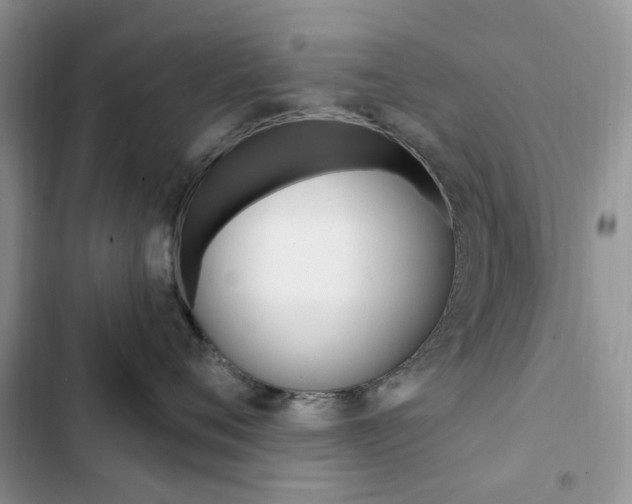 X0000102830720200808181049