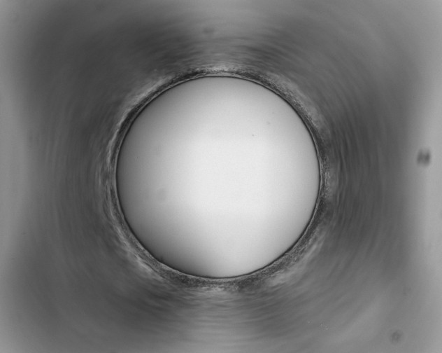 X0000102830721200808181048