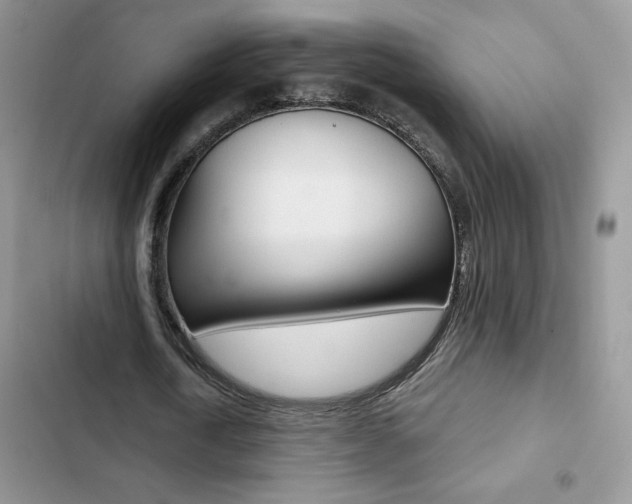 X0000102830722200808181048