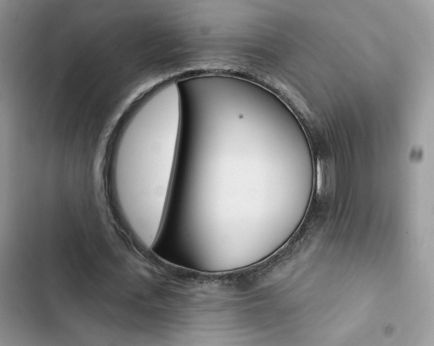 X0000102830723200808181048