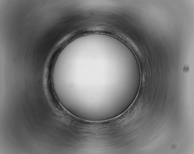 X0000102830724200808181048