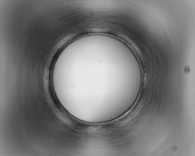 X0000102830725200808181048