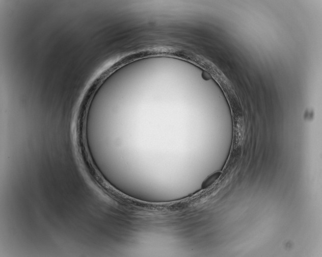 X0000102830726200808181048