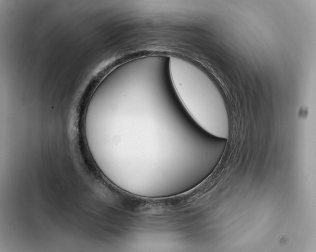 X0000102830727200808181048