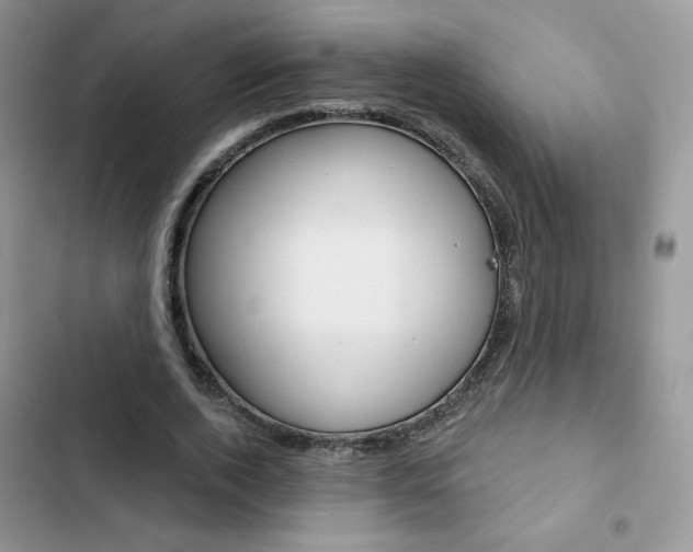 X0000102830728200808181048