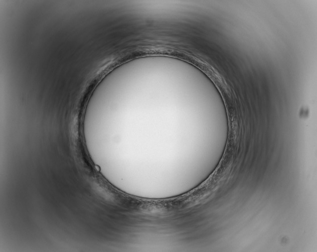 X0000102830729200808181048