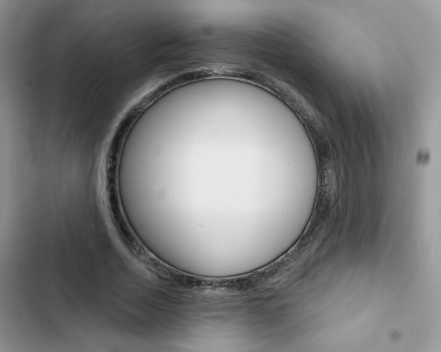 X0000102830730200808181048