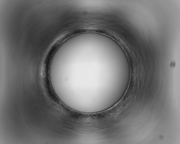 X0000102830731200808181048