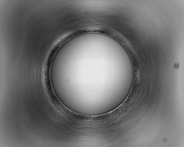 X0000102830732200808181048
