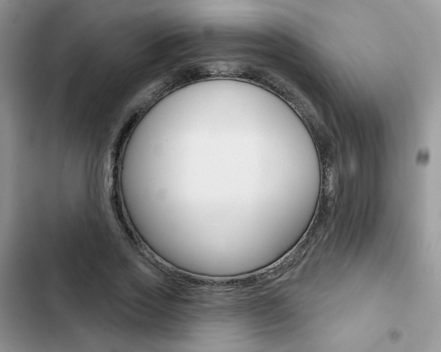 X0000102830733200808181048