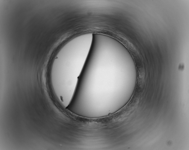 X0000102830734200808181048