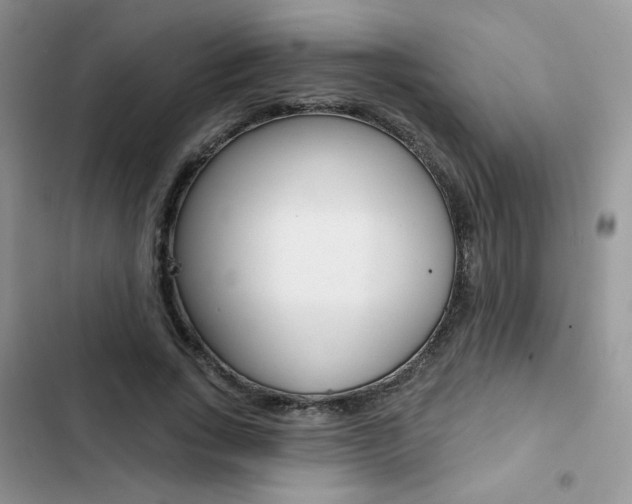 X0000102830735200808181048
