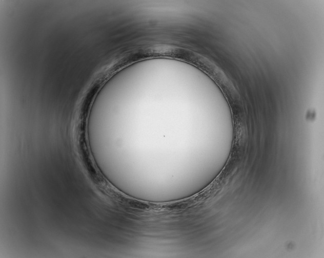 X0000102830736200808181048