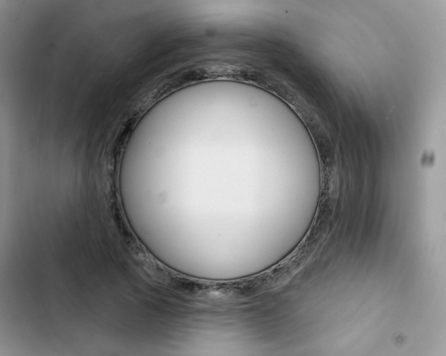 X0000102830737200808181048