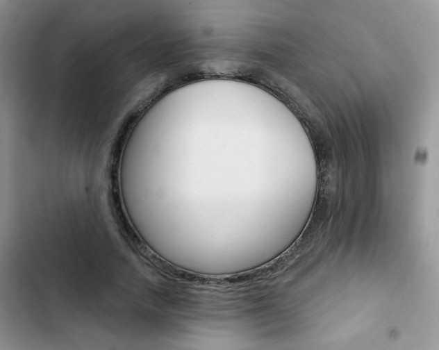 X0000102830738200808181048