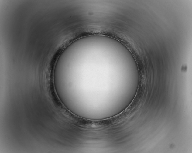 X0000102830739200808181048