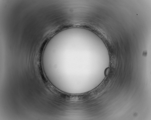X0000102830740200808181048