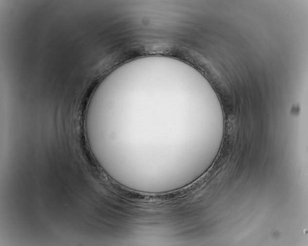 X0000102830741200808181048