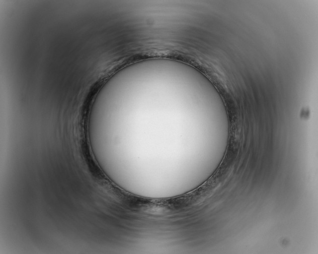 X0000102830743200808181048