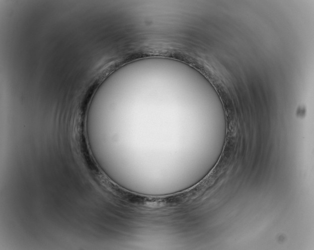 X0000102830744200808181048