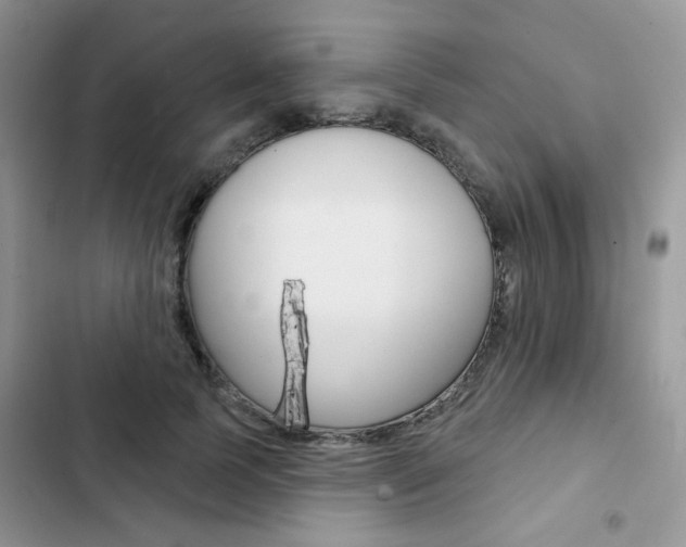 X0000102830745200808181048