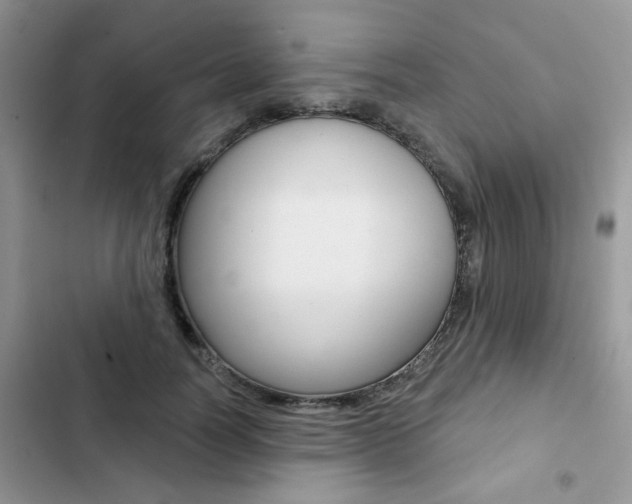 X0000102830746200808181048
