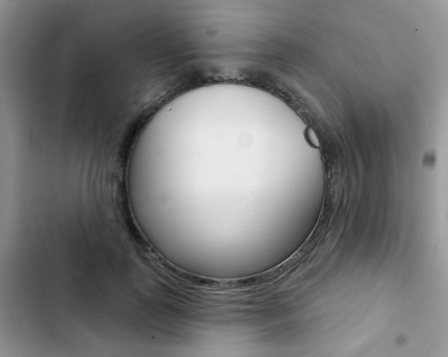 X0000102830747200808181048
