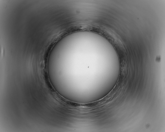 X0000102830748200808181048