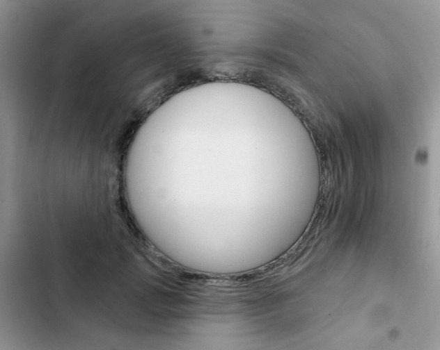 X0000102830749200808181048
