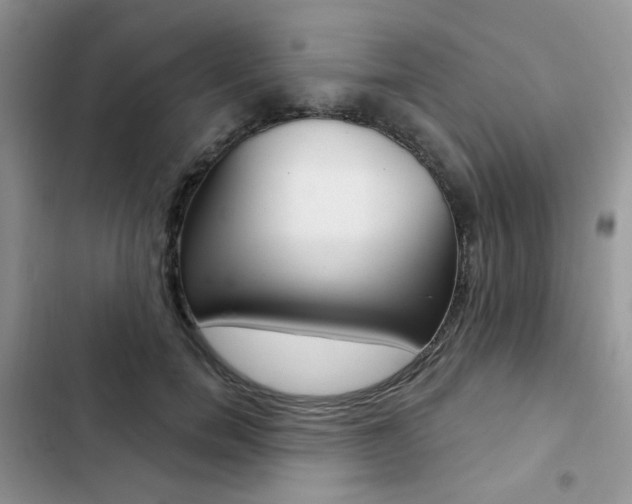 X0000102830750200808181048